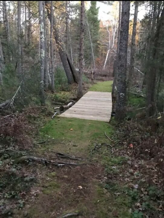 Shannon Lake Bridge