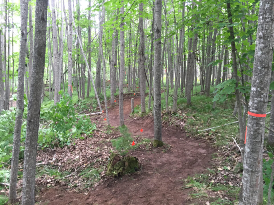 Imba Single Track 1