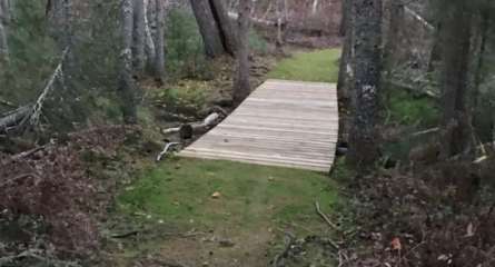 Shannon Lake Bridge