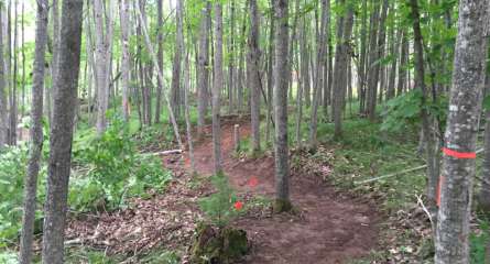 Imba Single Track 1