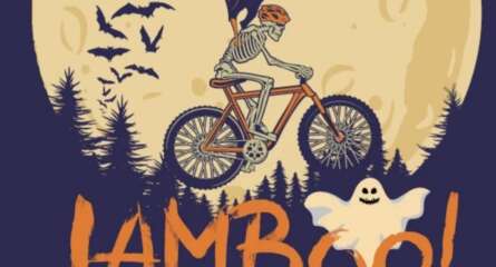 Lamboo